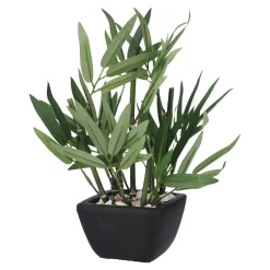 Online Bambus Im Topf, Grün, 26 Cm Geschenkideen|Deko-Objekte