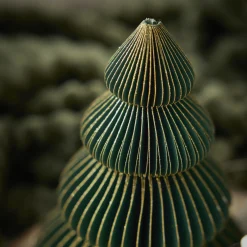 Hot Deko-Baum Wabe, Dunkelgrün/4 Stufen, 15 Cm Weihnachtsdeko|Weihnachten