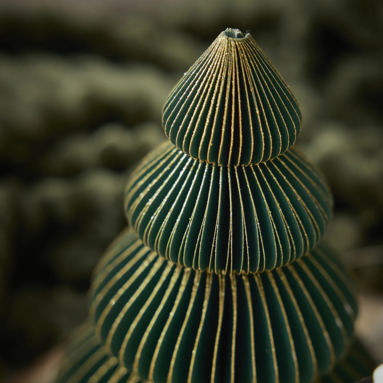 Hot Deko-Baum Wabe, Dunkelgrün/4 Stufen, 15 Cm Weihnachtsdeko|Weihnachten