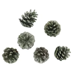 Clearance 6er Set Tannenzapfen Metallic, Grün Adventskränze & Zubehör|Weihnachtsdeko