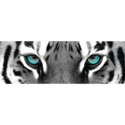 Hot Jumboposter Blue Tiger Eyes, Nr. 16 Poster