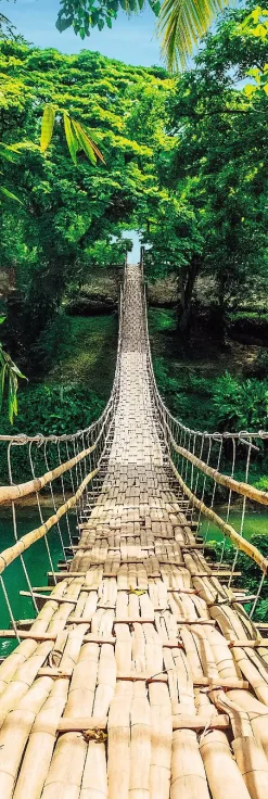 Hot Jumboposter Jungle Bridge, Nr. 37 Poster
