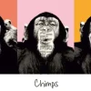 Best Jumboposter The Chimp - Pop, Nr. 36 Poster