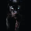 Discount Poster Black Panther, Nr. 179 Poster|Weihnachtsgeschenke