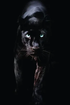 Discount Poster Black Panther, Nr. 179 Poster|Weihnachtsgeschenke