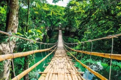 Poster Jungle Bridge, Nr. 117 Poster