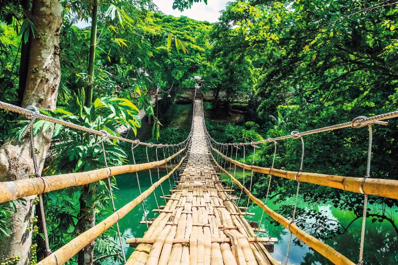 Poster Jungle Bridge, Nr. 117 Poster
