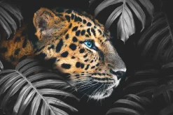 Outlet Poster Leopard Leafs, Nr. 108 Poster|Weihnachtsgeschenke