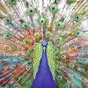 Hot Poster Pfau, Nr. 231 Poster|Weihnachtsgeschenke