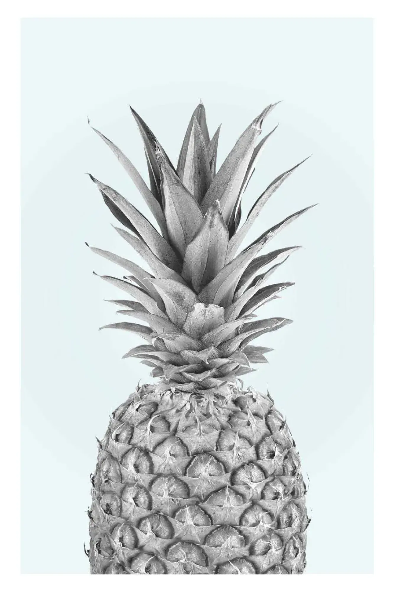 Outlet Poster Pineapple, Nr. 51 Poster