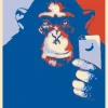 Outlet Poster Selfie Monkey, Nr. 199 Poster