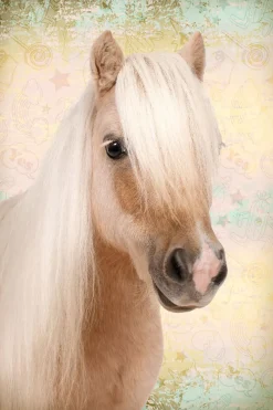 Hot Poster Sweet Horse, Nr. 198 Poster