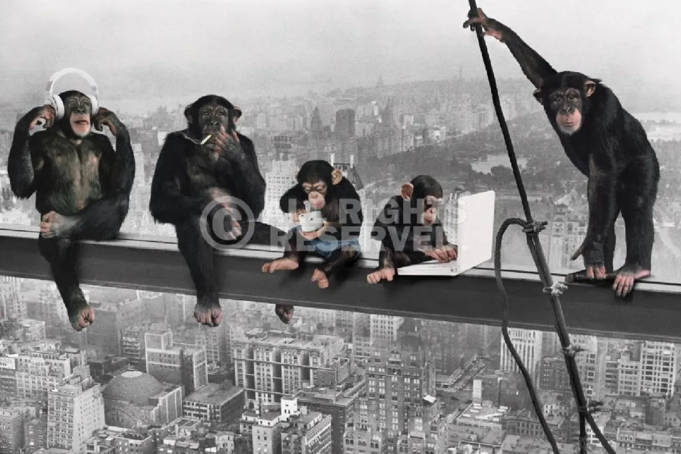 Sale Poster The Chimp - Girder, Nr. 166 Poster