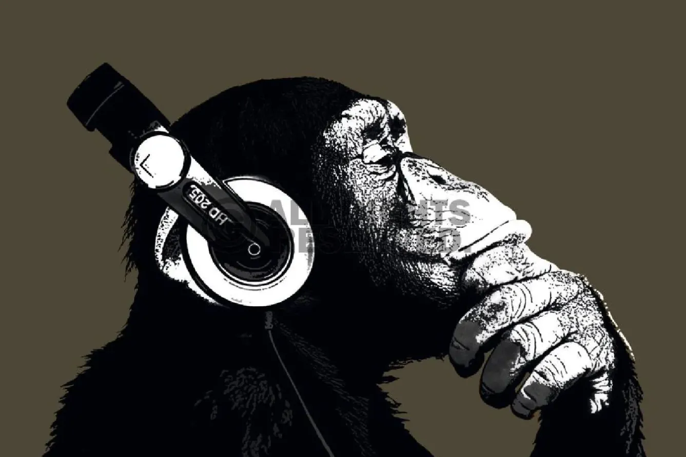 Outlet Poster The Chimp - Stereo, Nr. 155 Poster