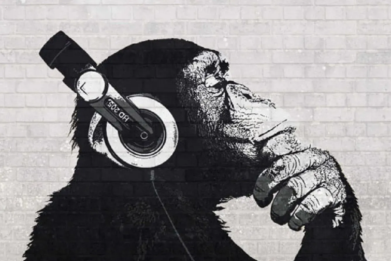 Poster The Chimp Stereo - Wall, Nr. 228 Poster