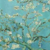 Hot Poster Van Gogh Amandelbloesem, Nr. 71 Poster