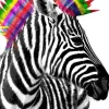 New Poster Zebra Punk, Nr. 238 Poster