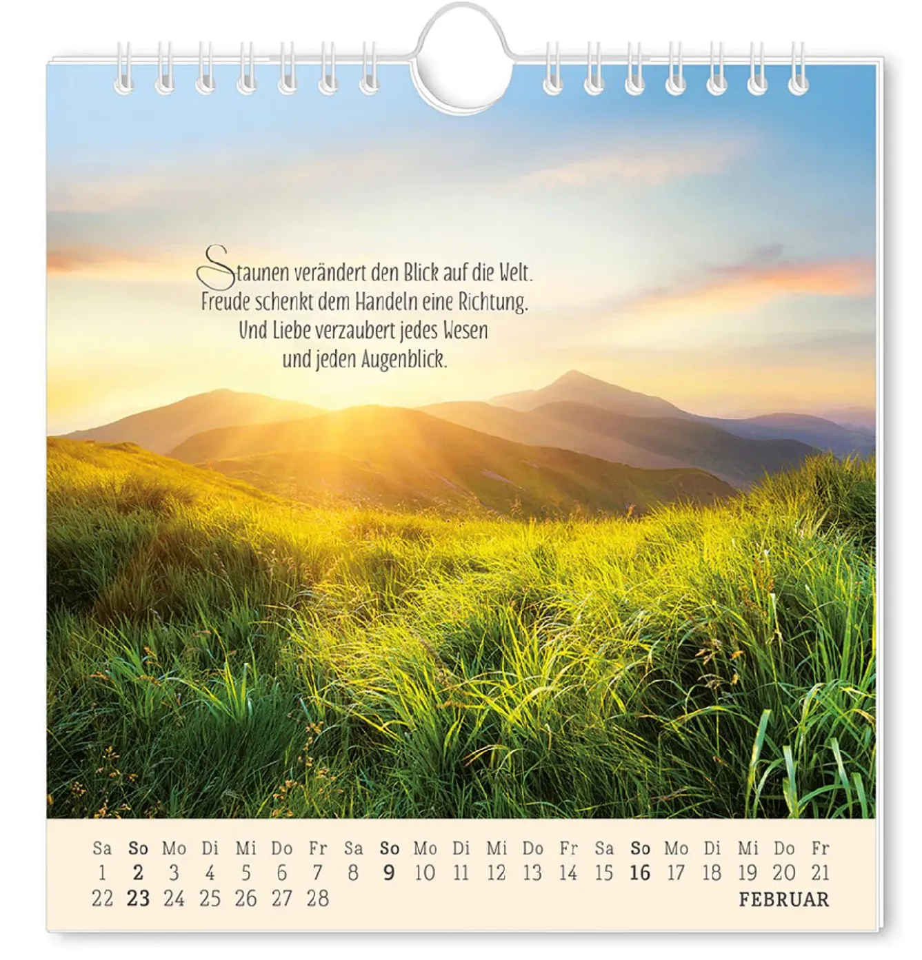New Postkarten Kalender, 2025, Lebenszeichen Kalender & Planer|Weihnachtsgeschenke