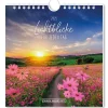 Discount Postkarten Kalender, 2025, Lichtblicke Kalender & Planer|Weihnachtsgeschenke