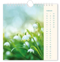 Discount Postkarten Kalender, 2025, Lichtblicke Kalender & Planer|Weihnachtsgeschenke