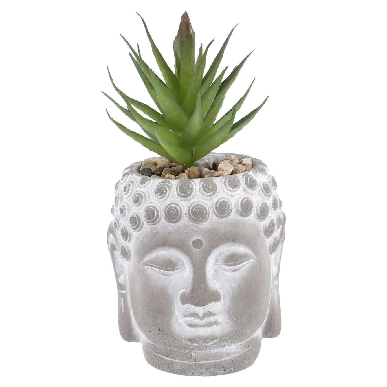 Clearance Sukkulente Buddhakopf, Grün/spitz, 15 Cm Outdoor & Garten