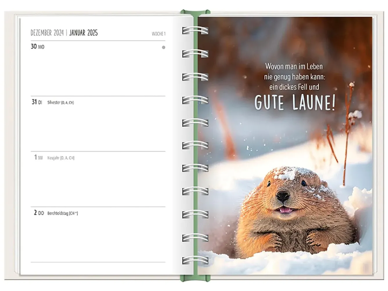 Outlet Terminplaner 2025, Happymacher Kalender & Planer|Weihnachtsgeschenke
