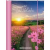 Hot Terminplaner 2025, Lichtblicke Kalender & Planer|Weihnachtsgeschenke