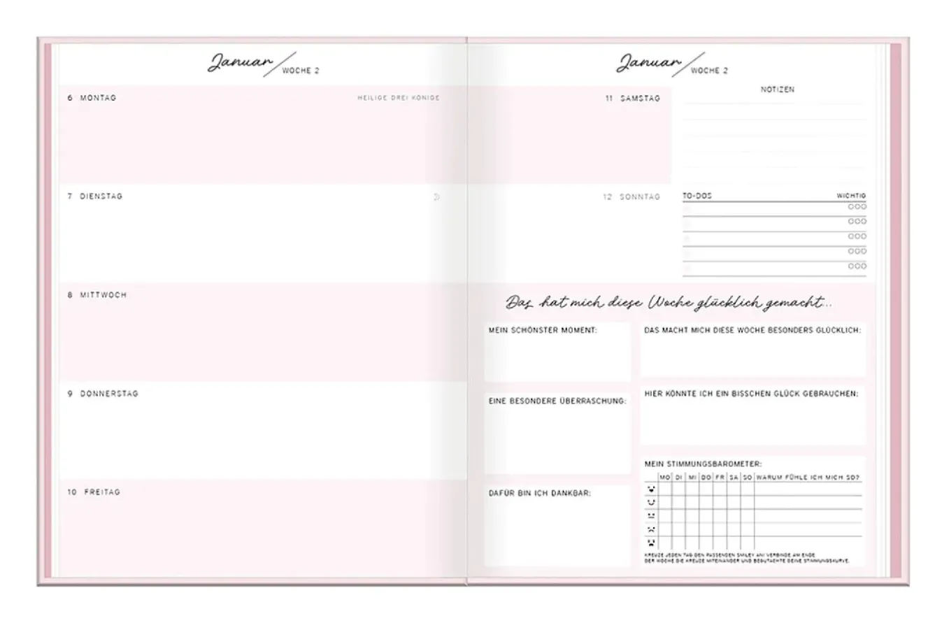 Discount Terminplaner Lady, 2025, Mein Happiness-Planer Kalender & Planer