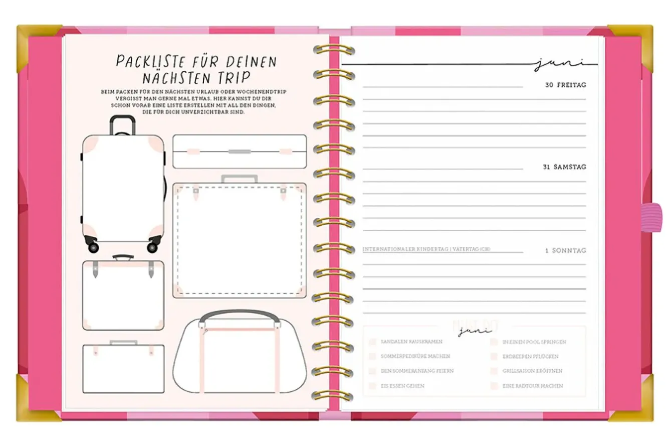 Discount Terminplaner Premium 2025, Pink Kalender & Planer|Weihnachtsgeschenke